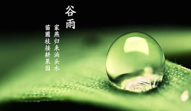 今日谷雨 | 谷得雨而生，夏天要醒了！(圖1)